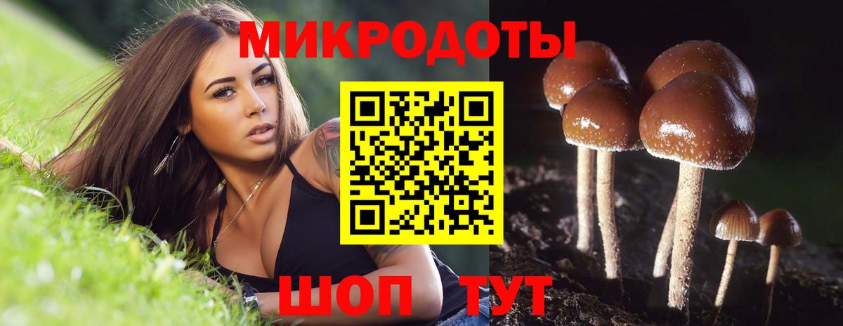 Псилоцибиновые грибы мухоморы Тайшет